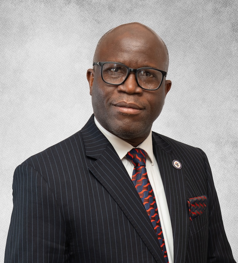 Portrait of Dr. Omokhudu Idogho